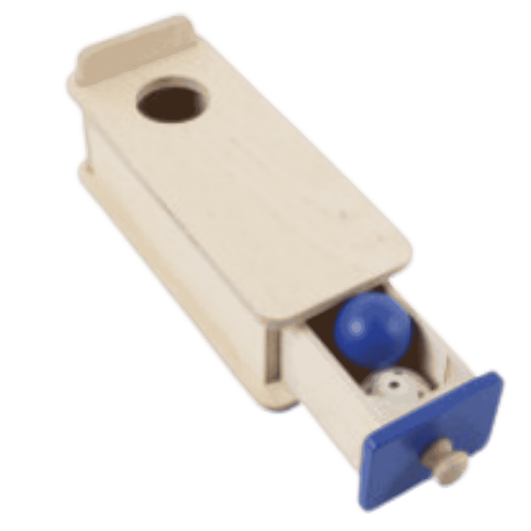D6