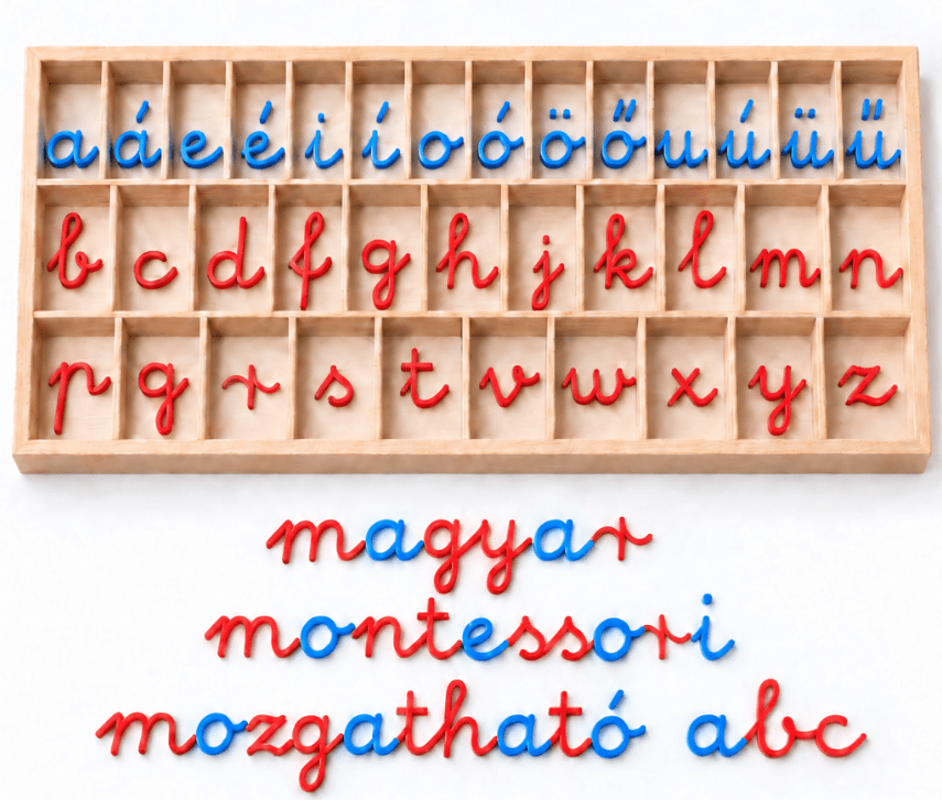 796457385_1569582184050264_2220743697292895430_n